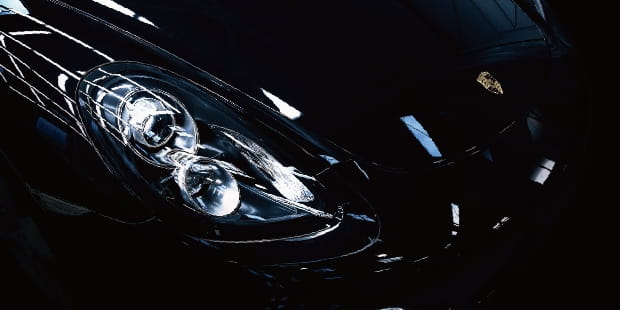 Zen-Xero Dynamic 的特徵